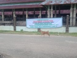 Heboh,. ! Warga Kuantan Mudik Terang-Terangan Kecewa Kepada Bupati Kuansing.