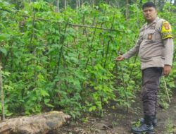 Polsek Kuantan Mudik Tindaklanjuti Program Asta Cita Presiden RI