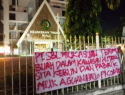Kejati Riau Dihantui Spanduk Setiap malamnya yang bertuliskan “PT. SGL Milik Ahguan terima Buah dari kawasan hutan, sita kebun dan pabrik Ahguan.Hallo Picon! “
