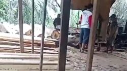 Masyarakat Kuansing Minta Kapolda Riau Penindakan Pengerusakan Hutan Jangan Pilih Bulu